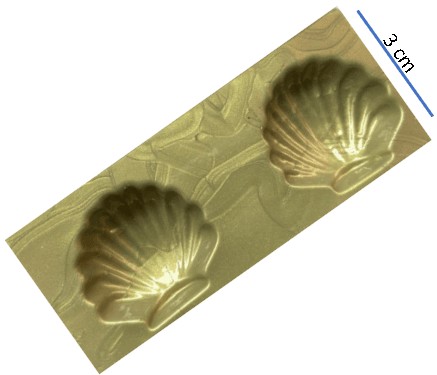 Molde de Conchas de Mar x2