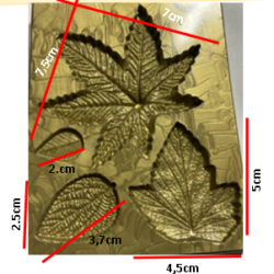 Molde de Hojas Variada x 4