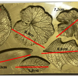 Molde 2D de Hojas Variada x 8
