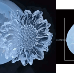 Molde de Girasol - 215