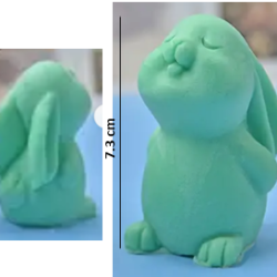 Molde de Conejo Pensante - 346