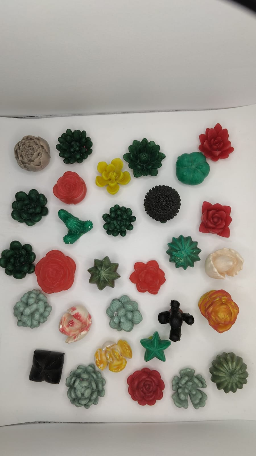 Molde de Mini Suculentas Varias - Image 2