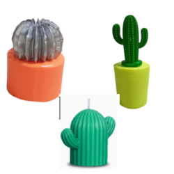 Molde de Cactus Varios