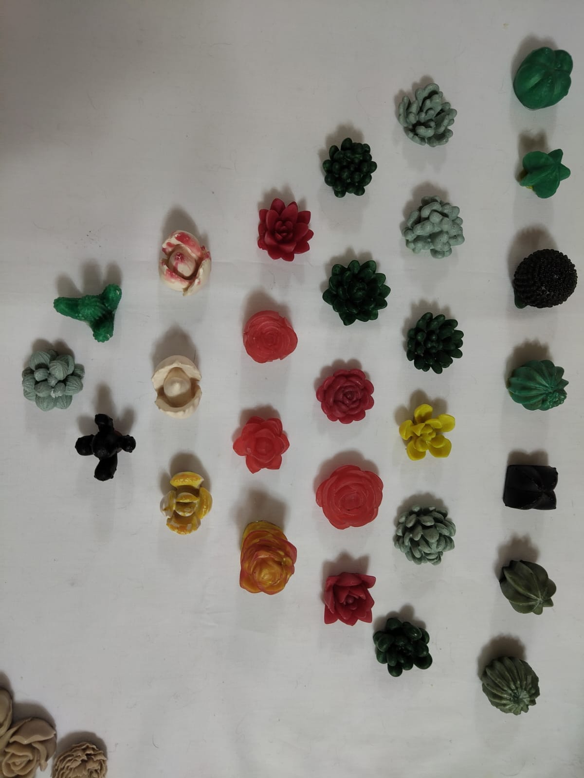 Molde de Mini Suculentas Varias - Image 3